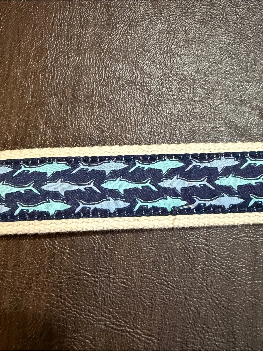 Crewcuts Shark Pattern Canvas Belt in Navy and Light Blue Kids Sz M (26) NWT